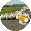 René Macko profile picture